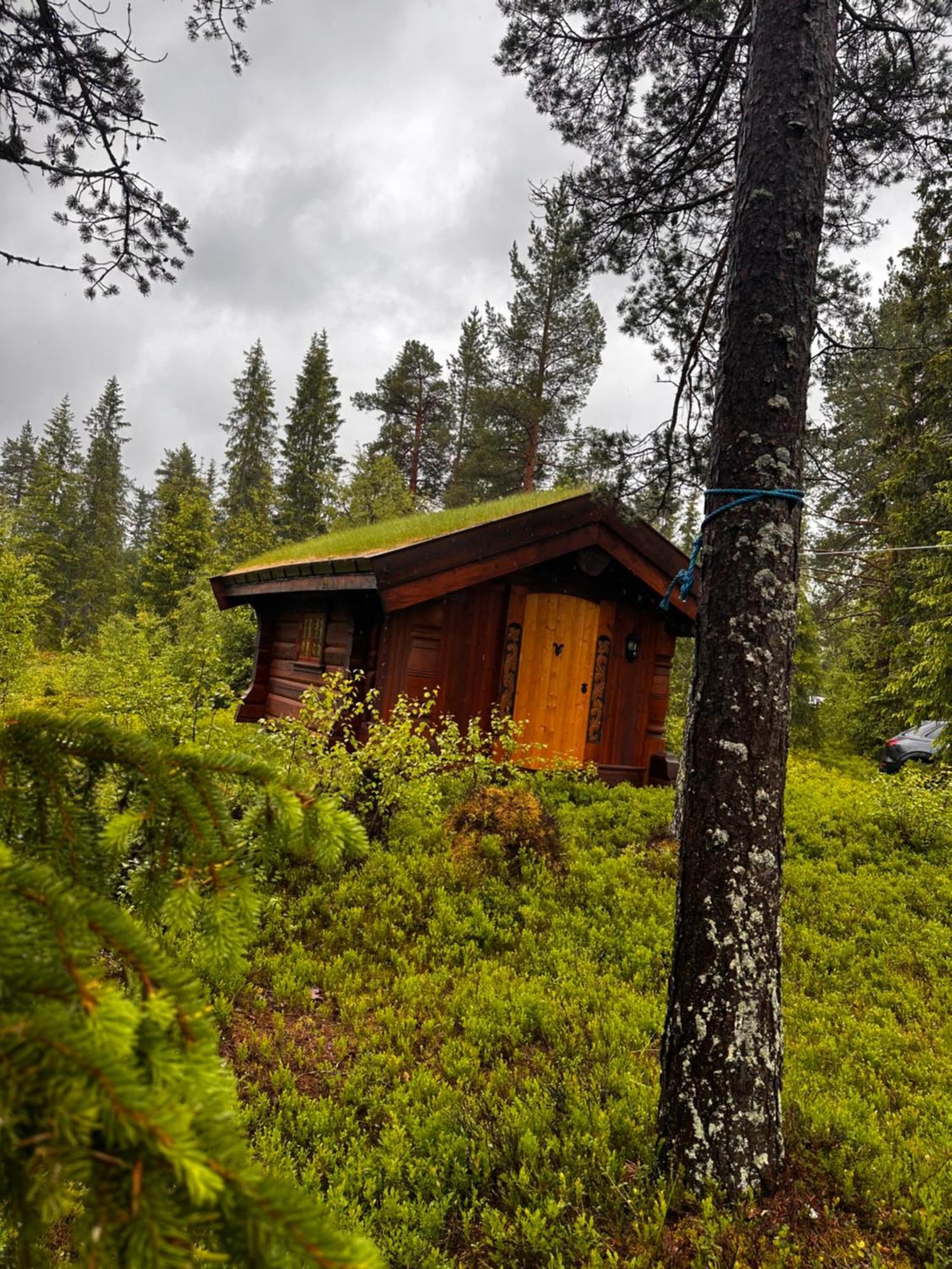 Hytta Pa Oyfjell Villa Exterior photo